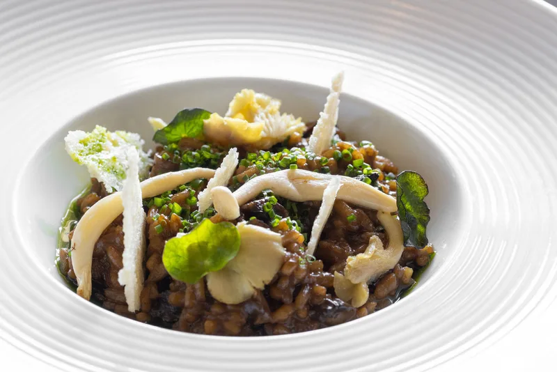 A bowl of wild mushrooms and grains at Ennios, finished with crisp shards, chives and a nasturtium leaf