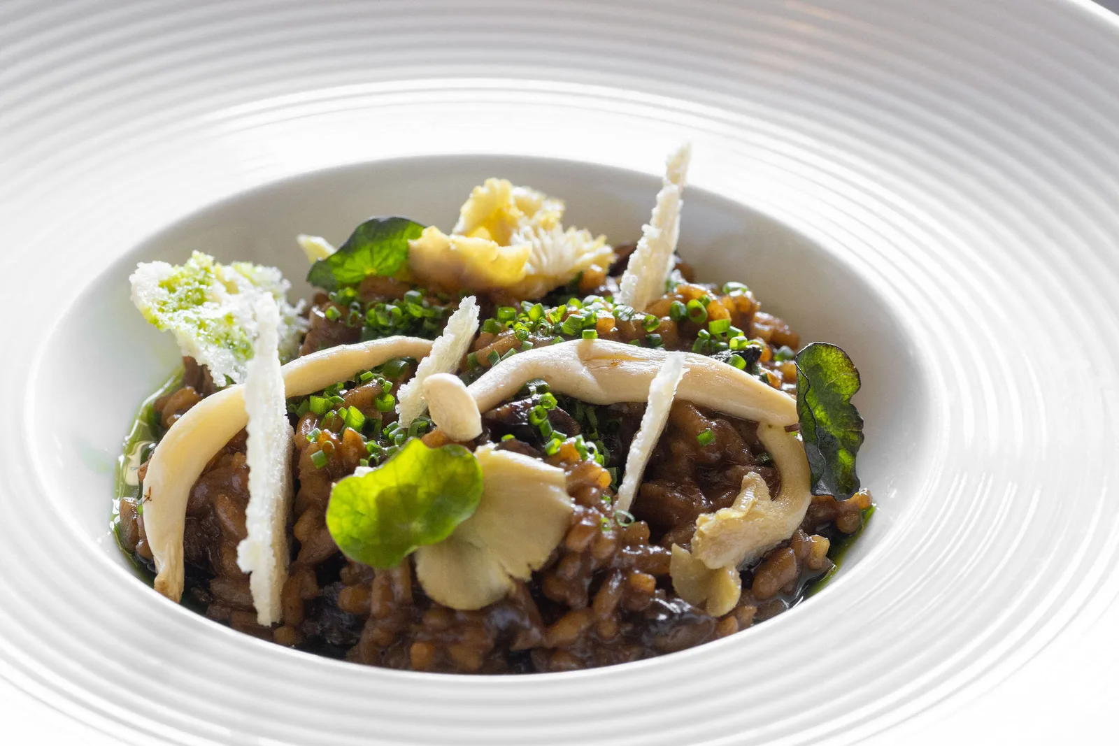 A bowl of wild mushrooms and grains at Ennios, finished with crisp shards, chives and a nasturtium leaf